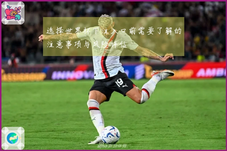 选择世界杯下注入口前需要了解的注意事项与风险评估